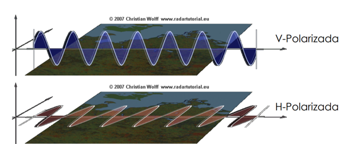 Polarization